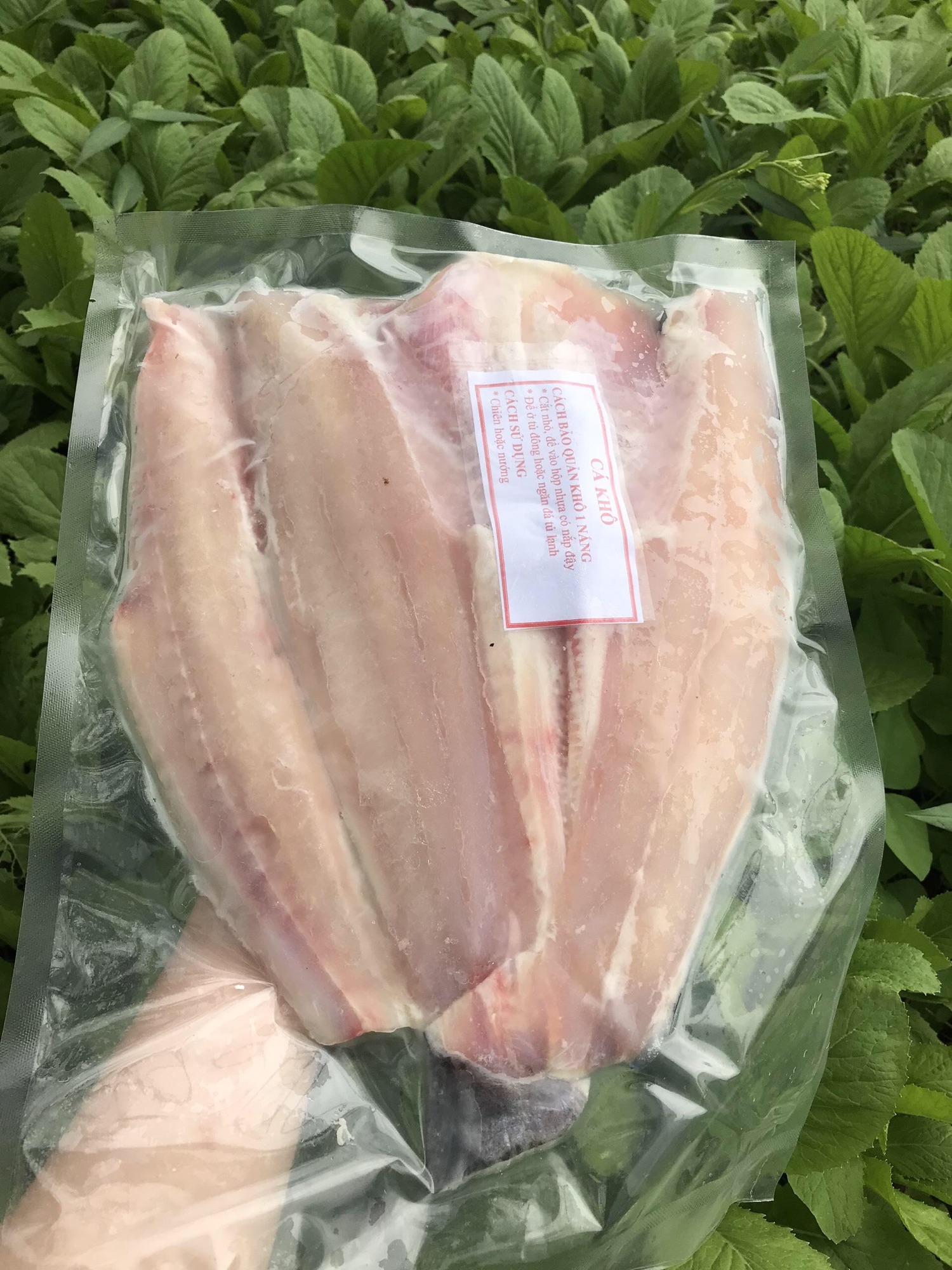 Cá Dứa Lai 1 nắng -1kg