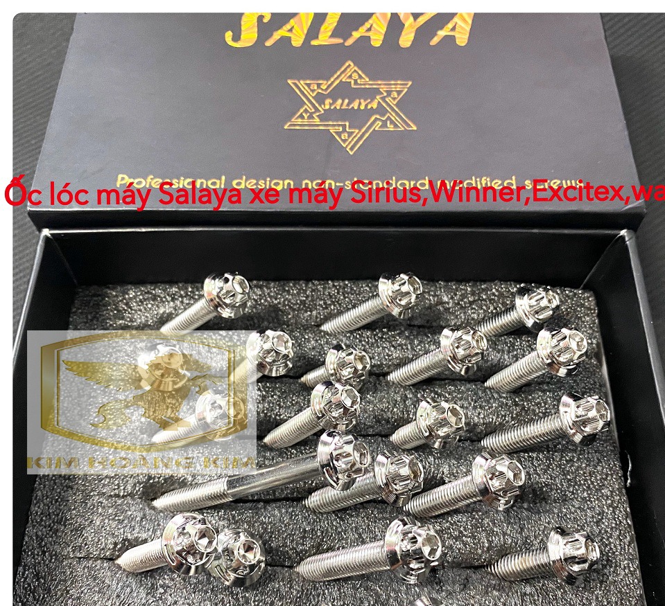 Bộ ốc lốc máy Salaya Inox 304 gắn lốc xe máy VARIO,AIRBLADE hàng chất lượng siêu rẻ