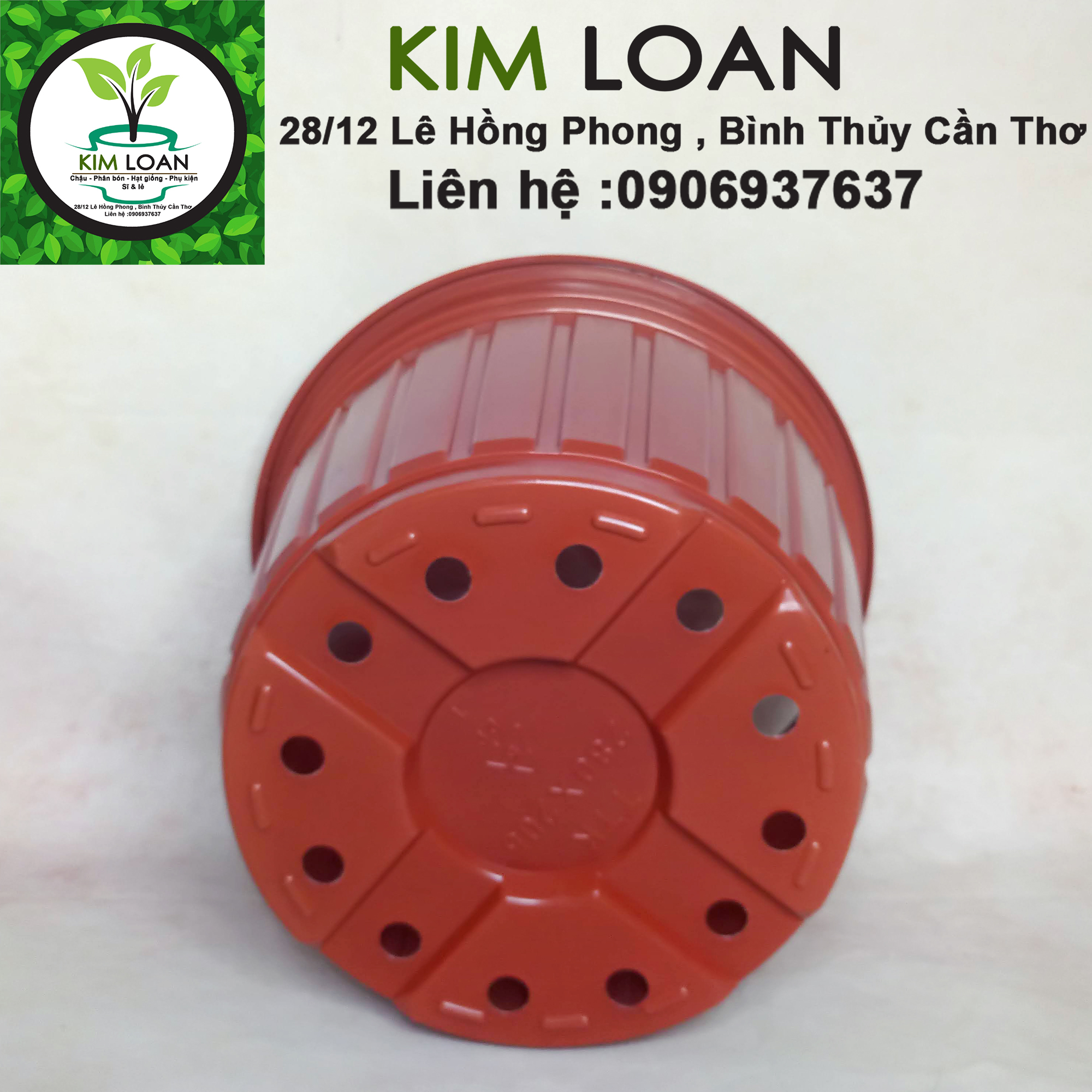 Combo 20 chậu nhựa vành cứng TTK C8 28x21cm