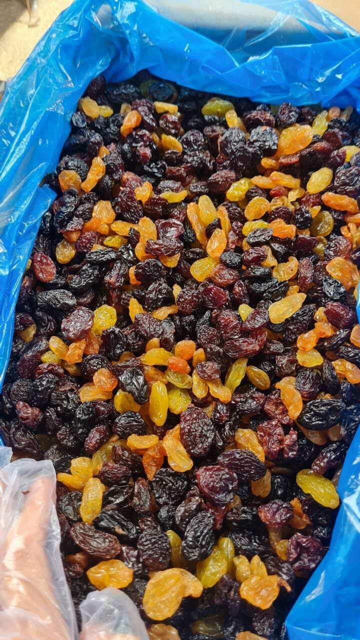 [FREESHIP MAX] 500g Nho ChiLe 3 màu [hangdaklak]