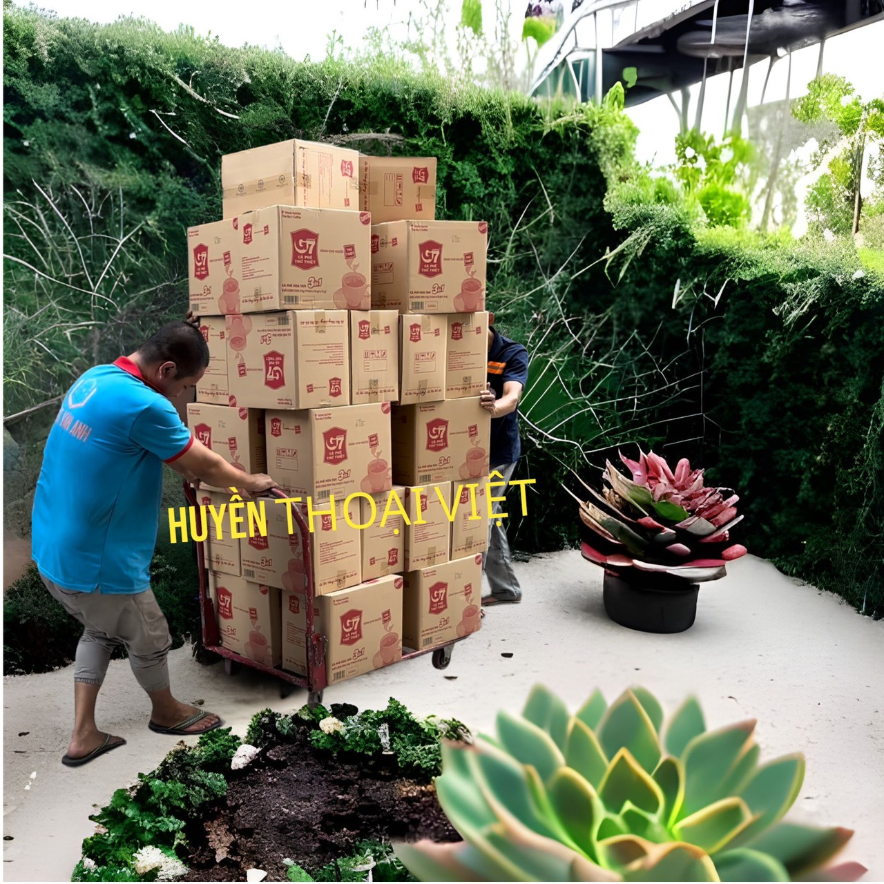 THÙNG CAFE SỮA G7 - LOẠI 50 GÓI - THÙNG 10 TÚI( MỖI TÚI 50 GÓI)