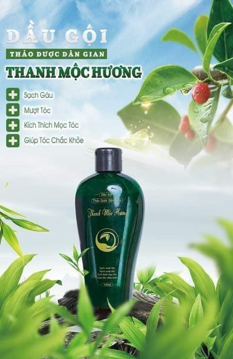 dầu gội đầu thảo dược thanh mộc hương