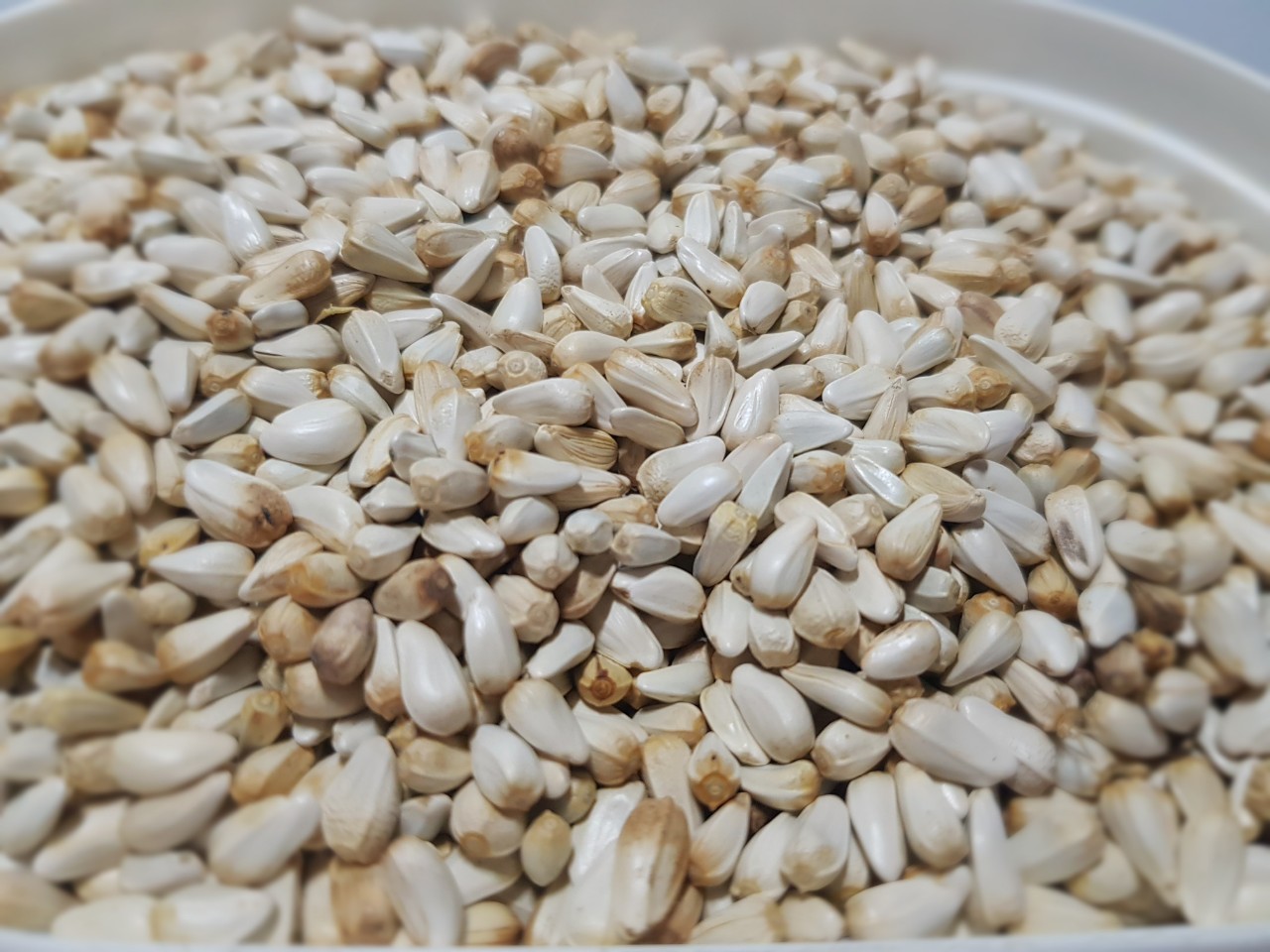 Hạt Kham gói 500gr - 1kg