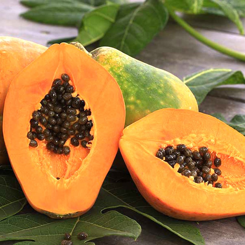 10H_Hạt giống Đu Đủ Ruột Vàng (Siêu trái, ngọt, thơm)