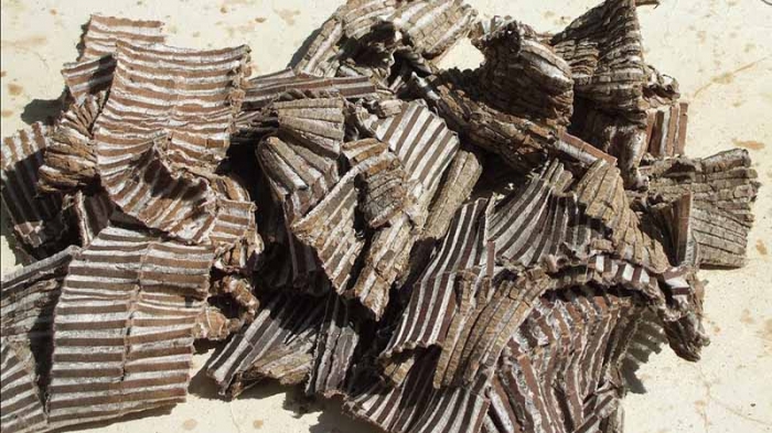 Vỏ Cây Đỗ Trọng Bắc Khô 1kg