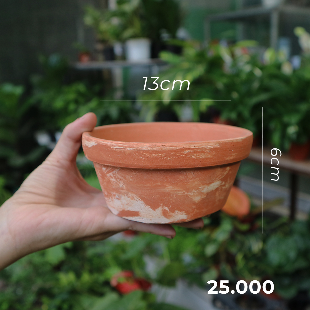 [GÓC THANH LÝ] Chậu đất nung thanh lý cực rẻ nhiều size