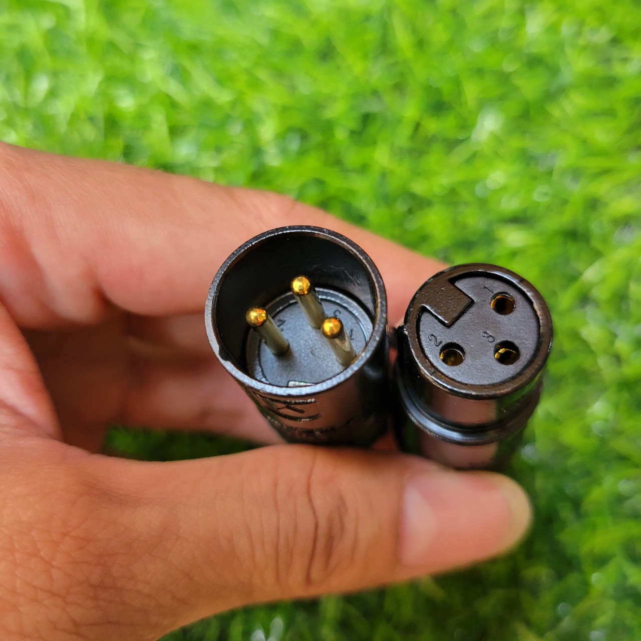 Jack Tín Hiệu Canong Neutrick Đực Cái
