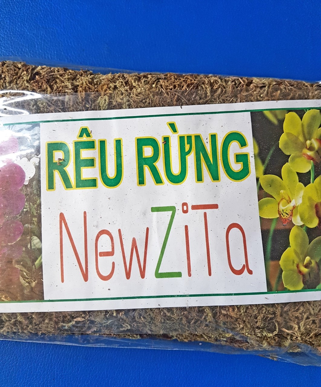 [HCM]RÊU RỪNG TRỒNG LAN