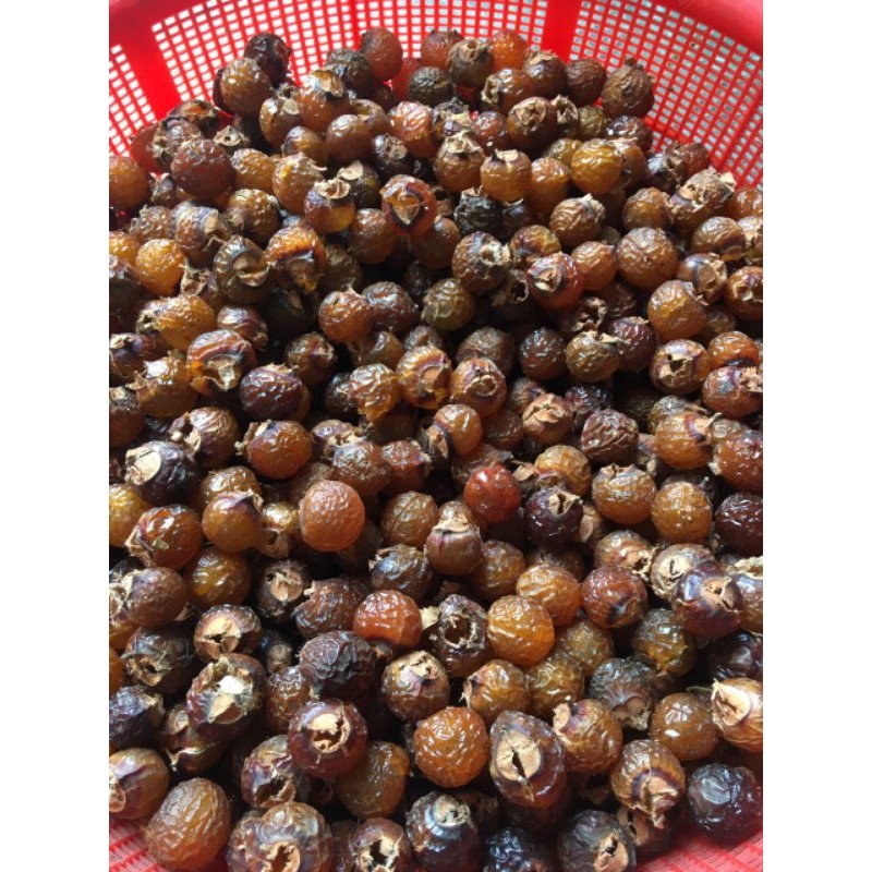 Quả bồ hòn khô tách hạt 49k1 kg
