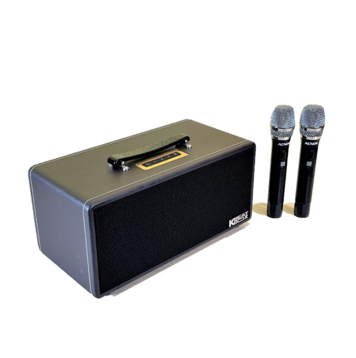 Loa Kéo Di Động Acnos KS362D