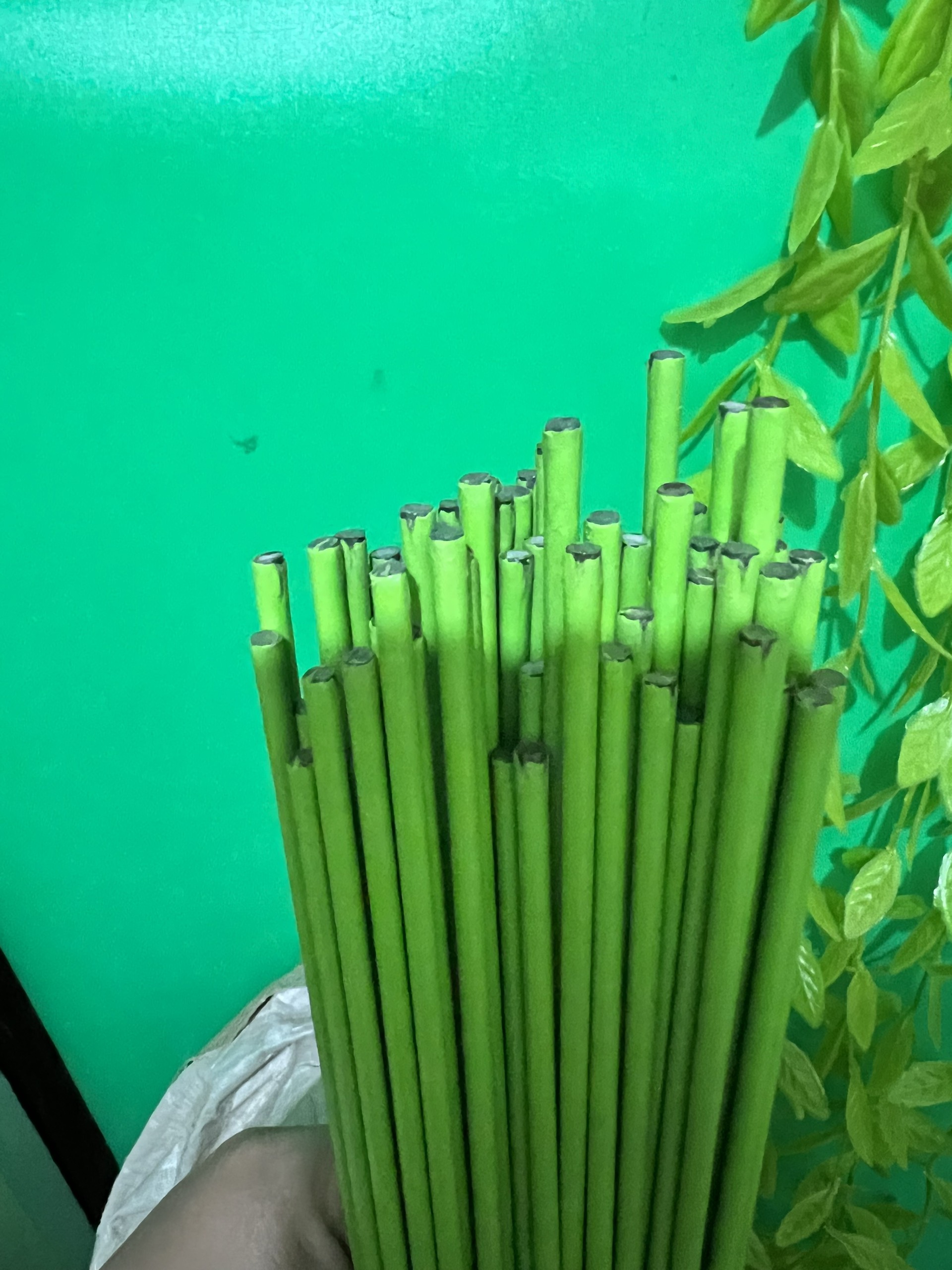 13 (1kg) Que cắm lan xanh dài 1m 4ly