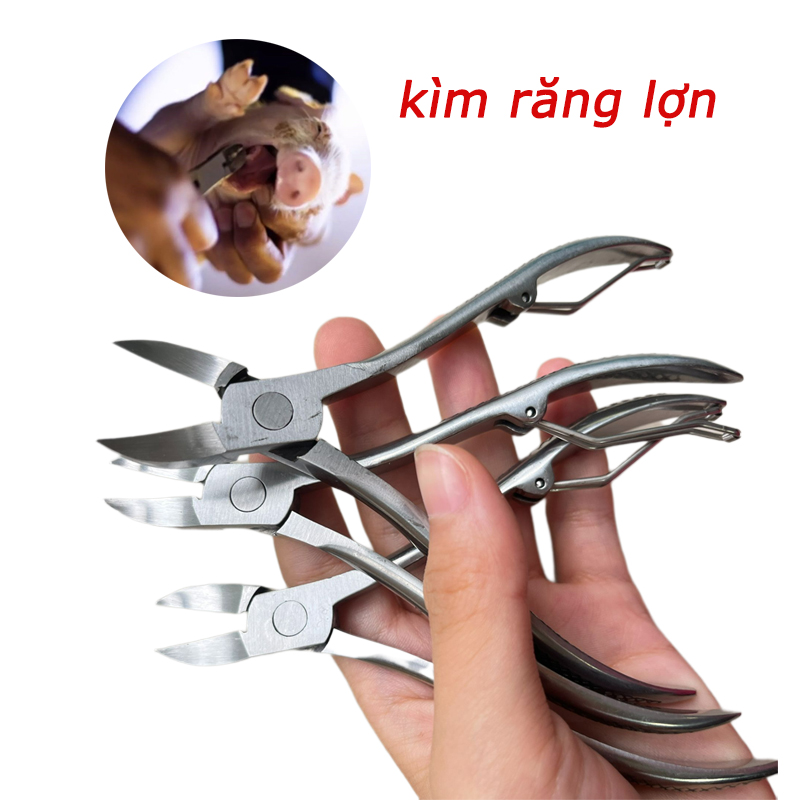 Kìm bấm nanh heo (kềm bấm răng lợn) thép không gỉ 12cm