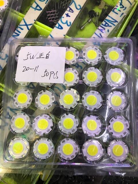 Nhân led COB 15V-5W
