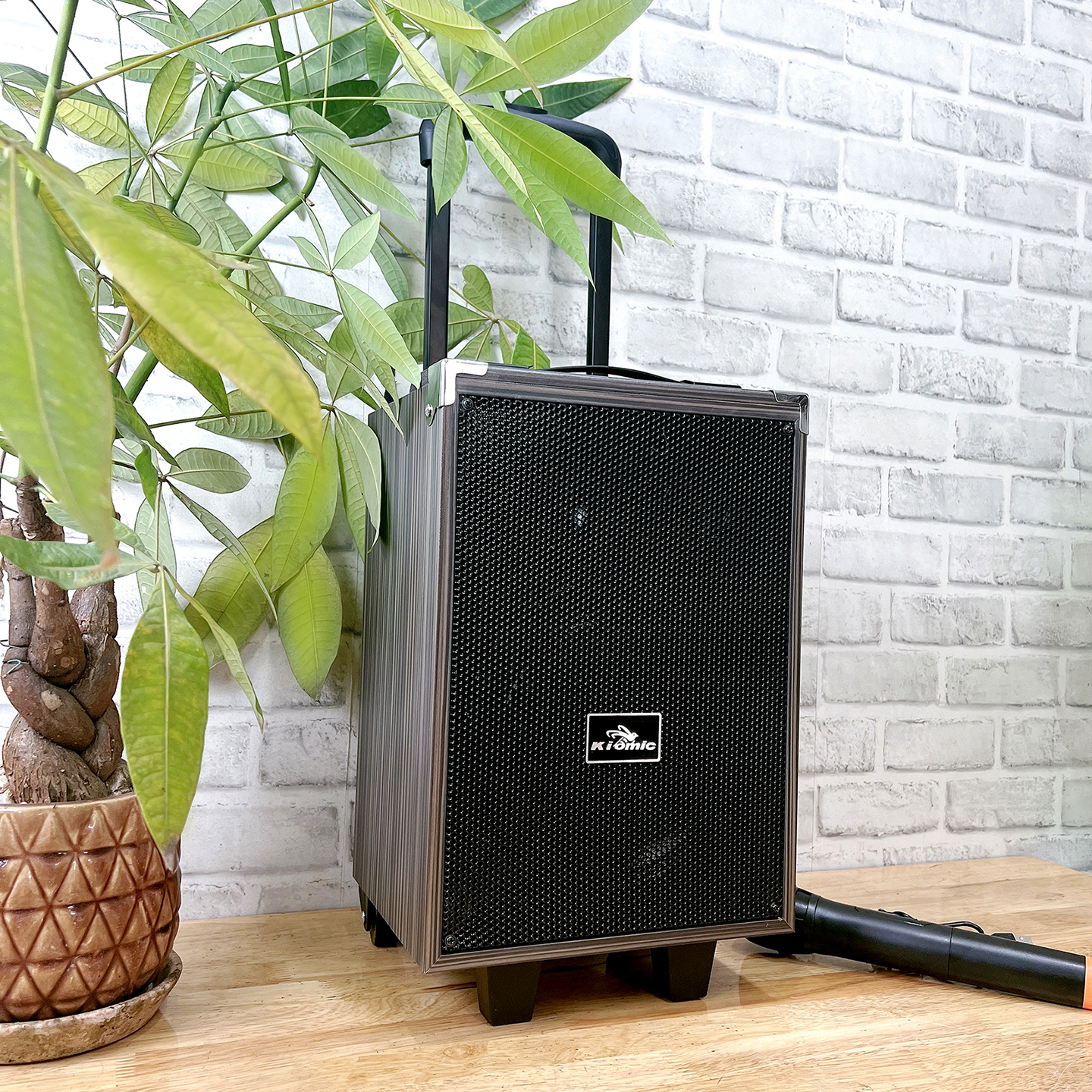 Loa kéo Kiomic Bluetooth Q8 Pro Tặng Mic không dây