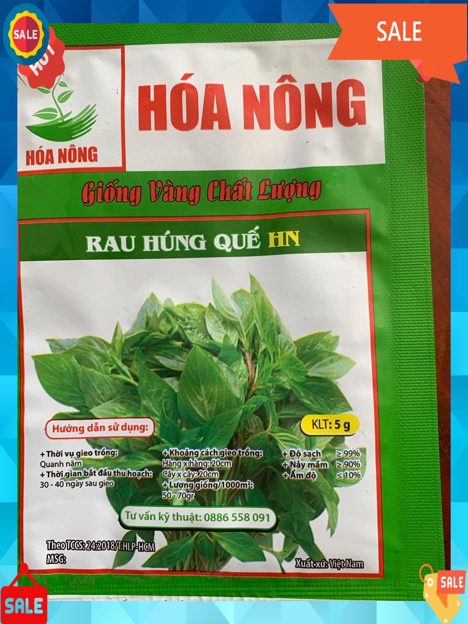 Hạt giống Rau húng quế HN