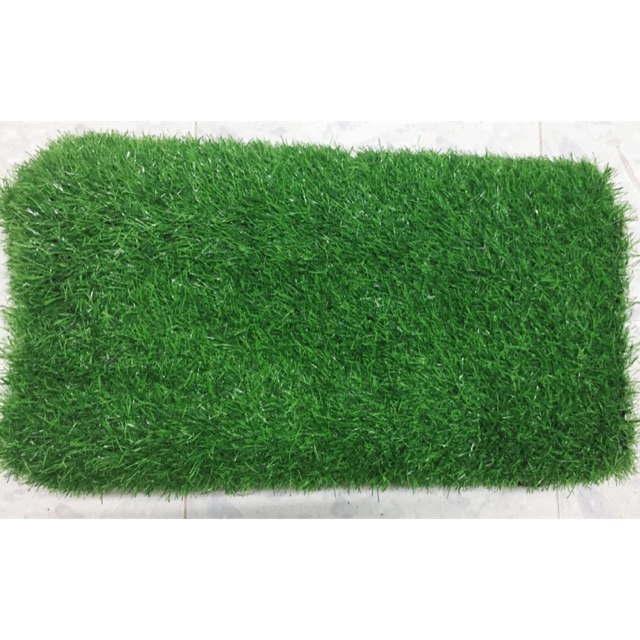 Thảm Cỏ Nhân Tạo Hàng chuẩn 2cm