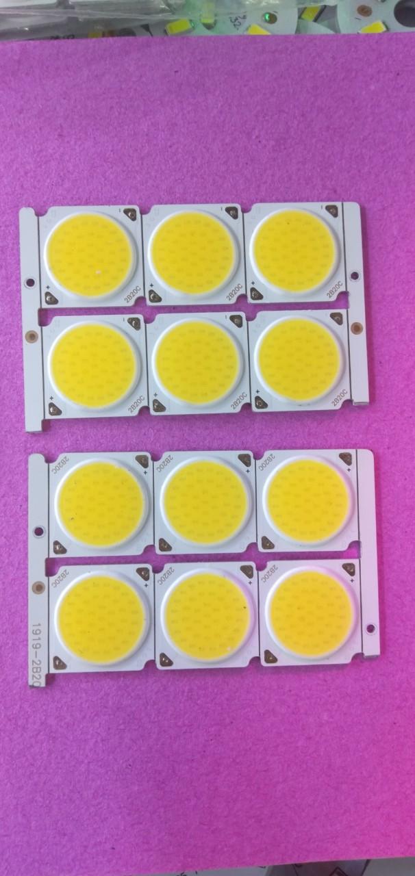 Mắt led cob 20w