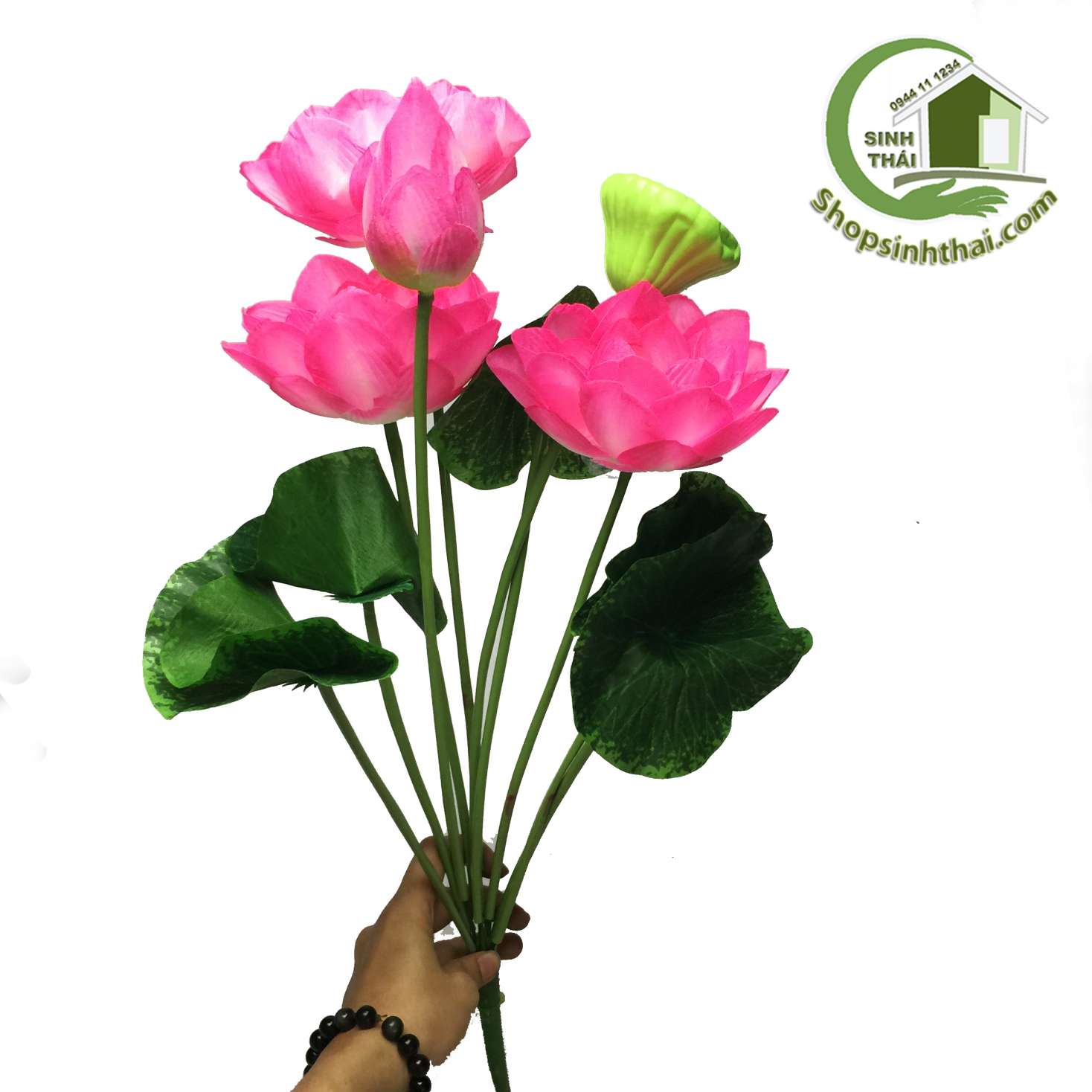 [HCM]Hoa sen giả - bụi sen lớn