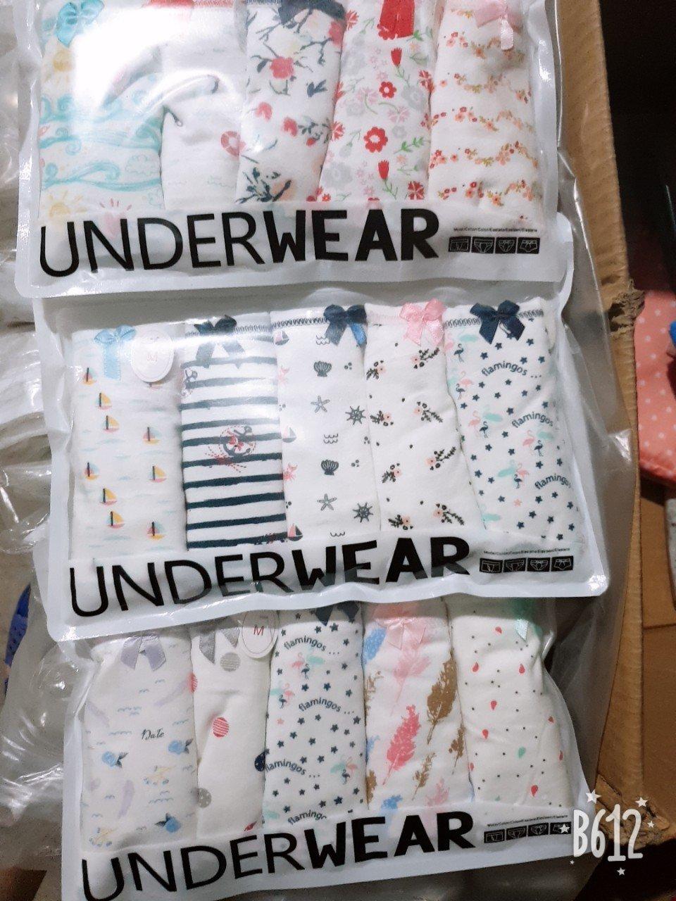 Combo 5 quần cotton siêu cute