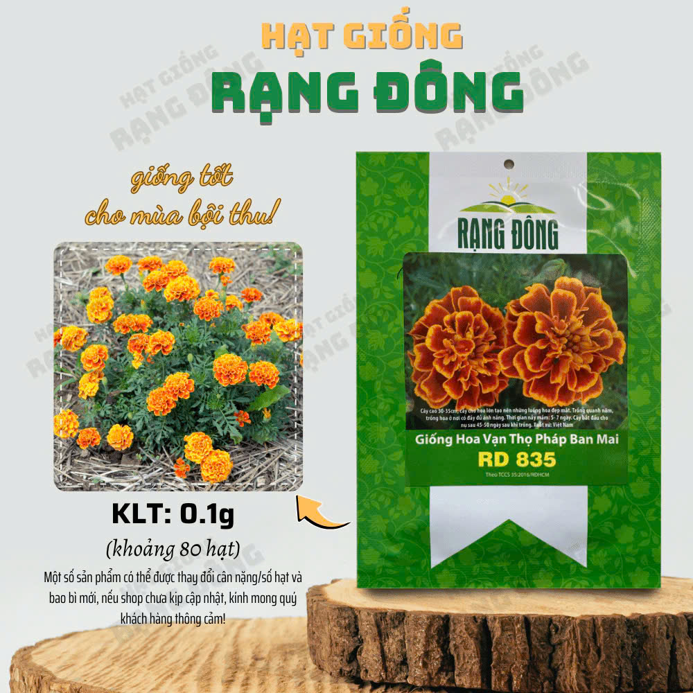 Hạt giống Hoa Cúc Vạn Thọ Pháp Ban Mai 835 (0,1g~80 hạt) thích hợp trồng chậu, quanh năm - Hạt giống Rạng Đông