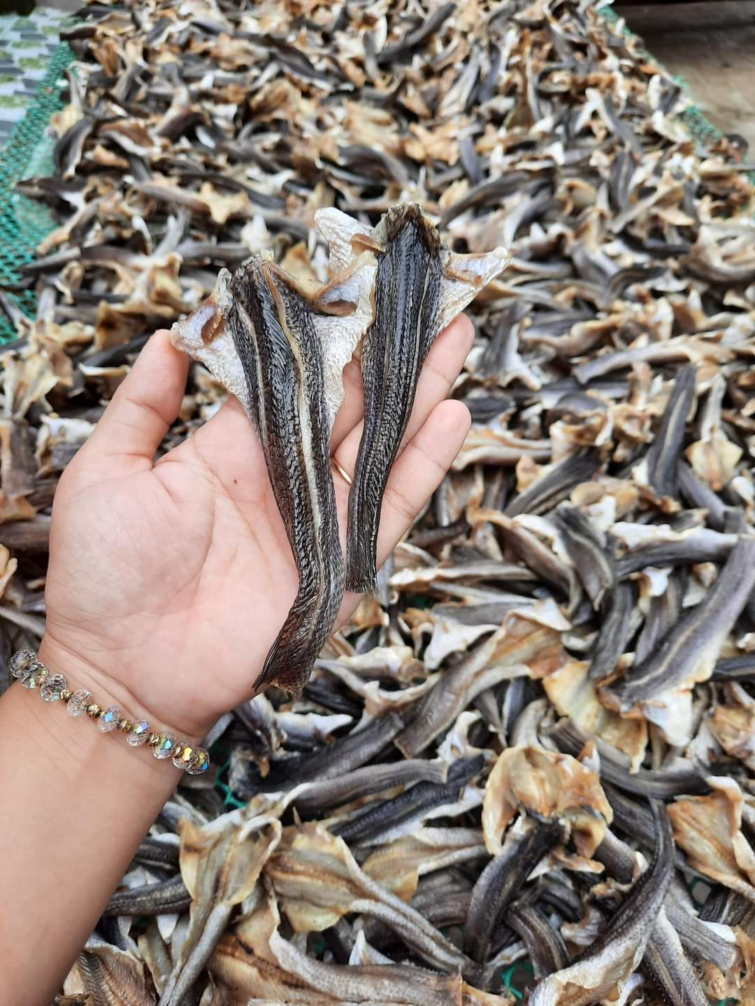 Khô cá lóc cửng hàng 3 nắng ,khô cá lóc cửng thịt ngọt-dẻo, hàng loại 1, kho thoai sơn