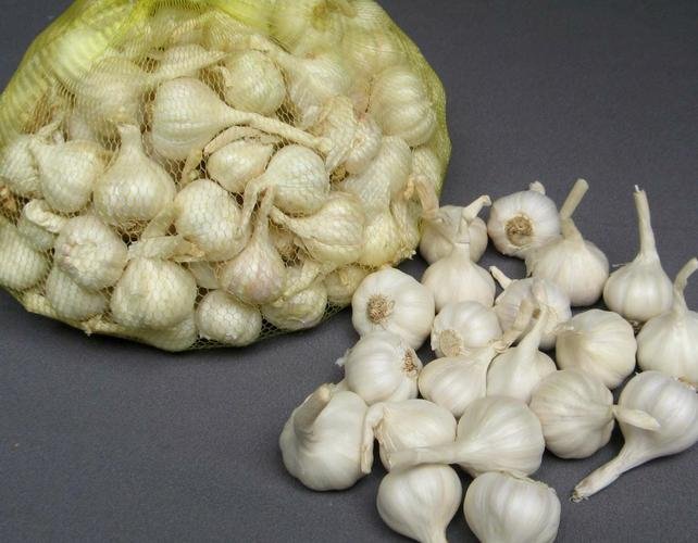 Tỏi Lý Sơn loại 1