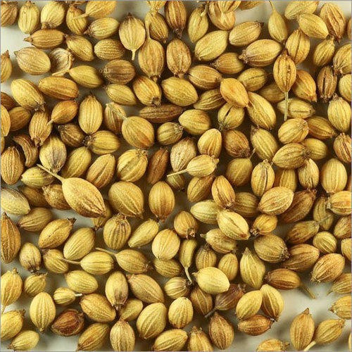Hạt Ngò Ông Chà Và 30gr