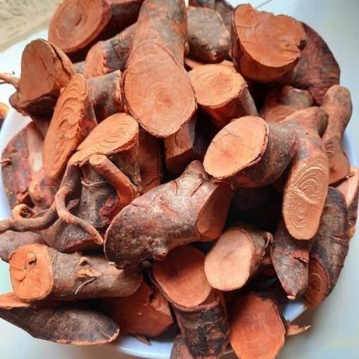 Thân Cây Mú Từn (1kg) - Đặc Sản 27