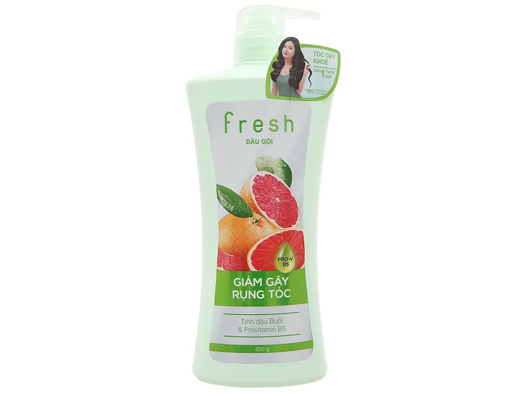 Dầu Gội FRESH 650g