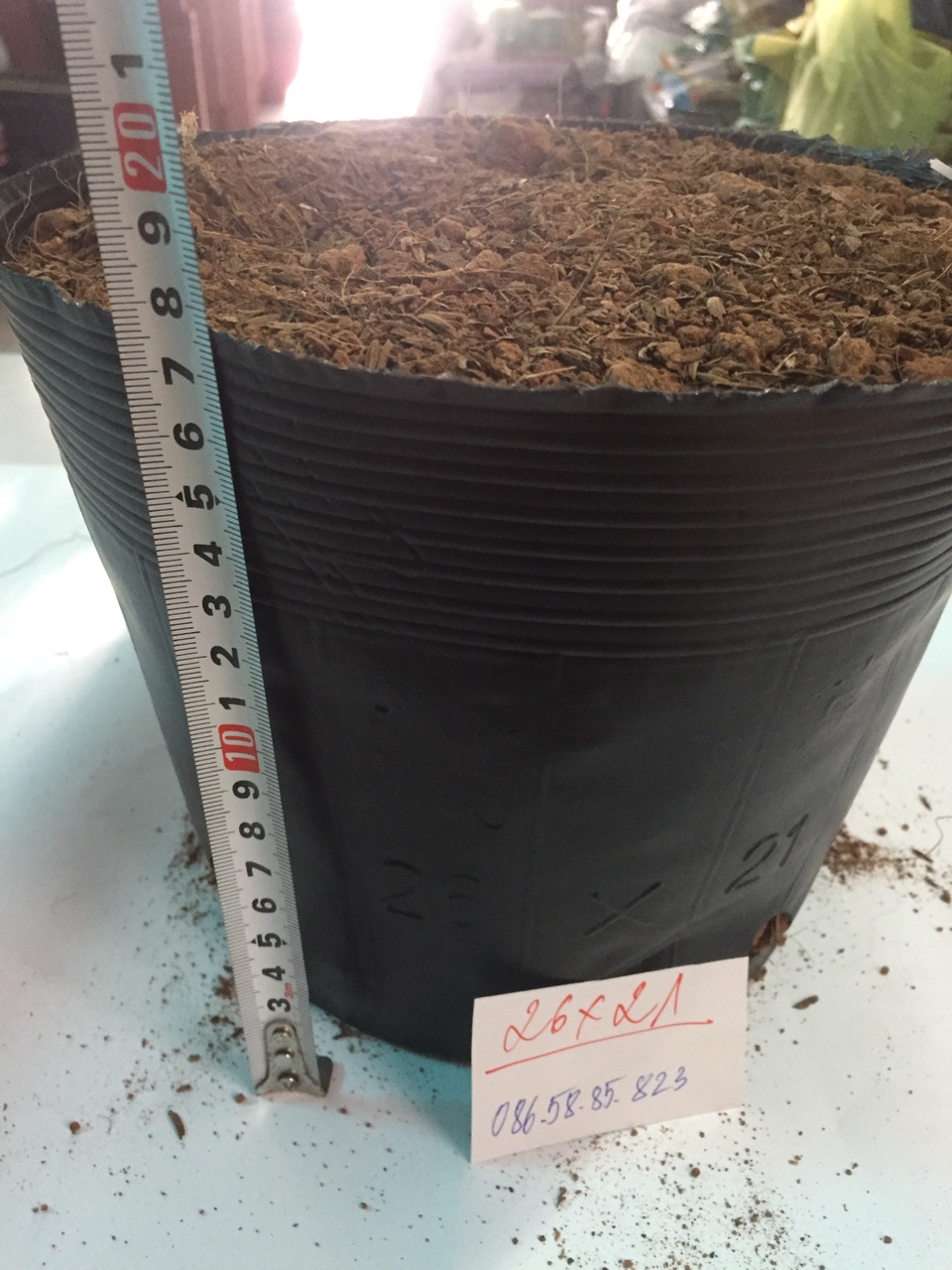 1kg bịch bầu ươm cây cỡ 26x21