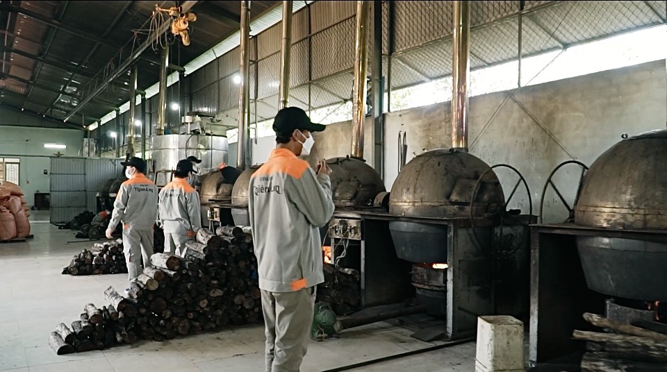 COMBO ( 25 GÓI) Hạt bí rang tay Thiên Lan (40g)