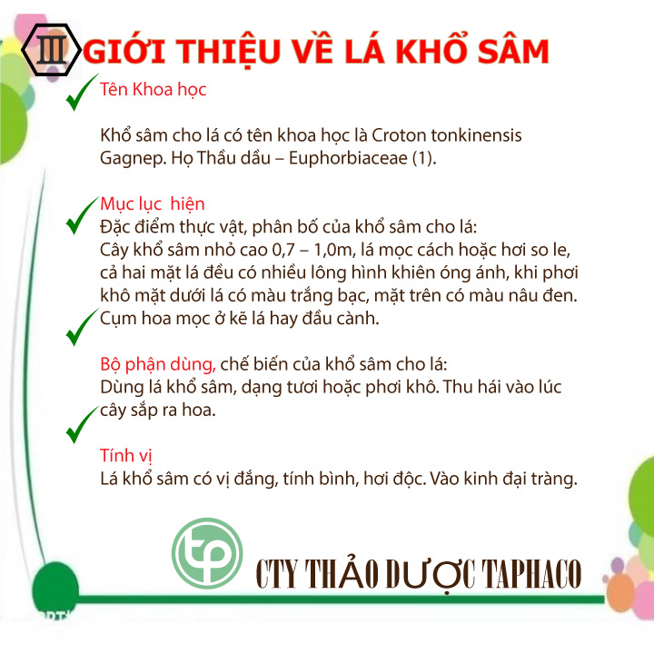 Lá khổ sâm Tấn Phát túi lớn loại 1kg - Hỗ trợ cải thiện sức khoẻ dạ dày - Giảm nguy cơ mắc các bệnh lý liên quan đến tim mạch