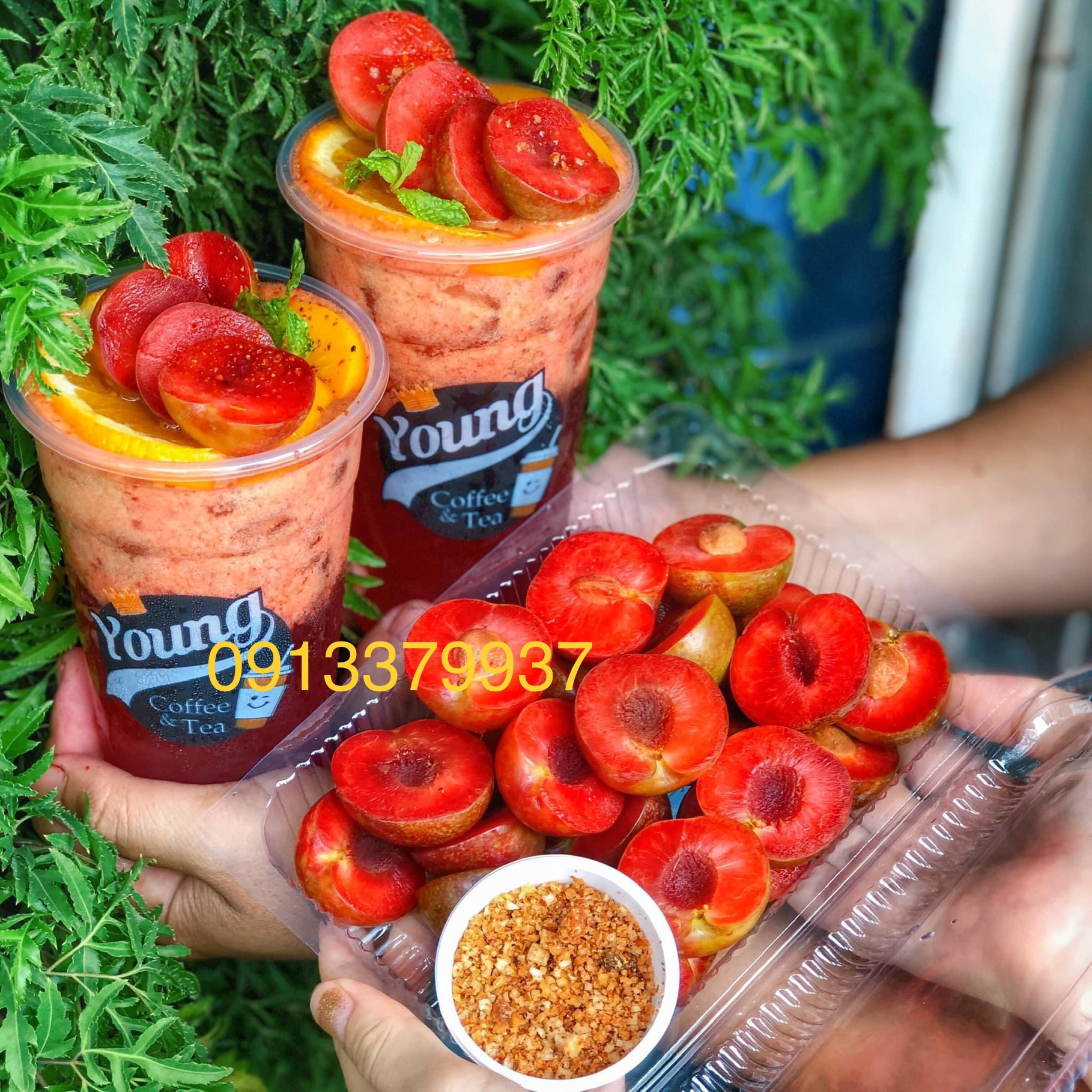 [HCM]Muối ô mai Hà Nội ( hộp 100g)