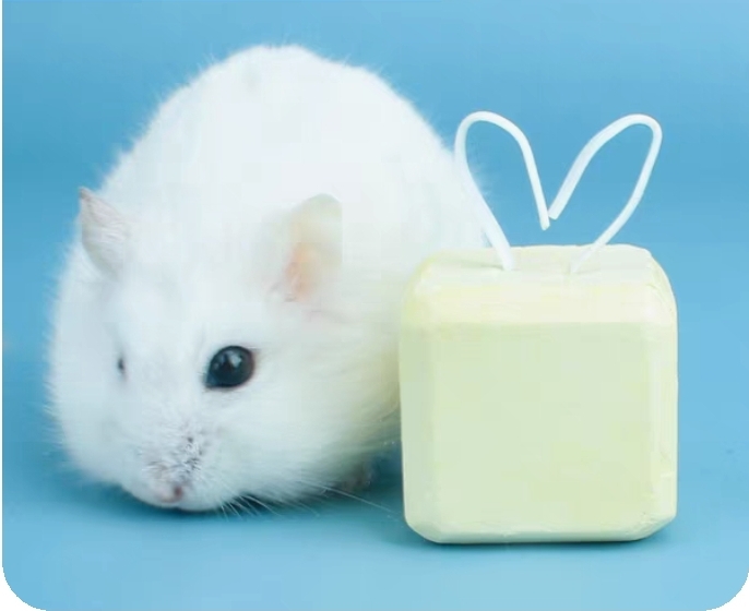 Cục đá mài răng cho hamster