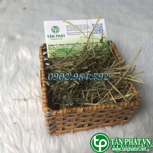 Diệp Hạ Châu khô 1kg - Hàng sạch thơm chuyên dùng để sắc nước và pha trà - Thảo Dược Tấn Phát