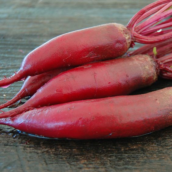 2g Hạt giống củ cải đỏ dài