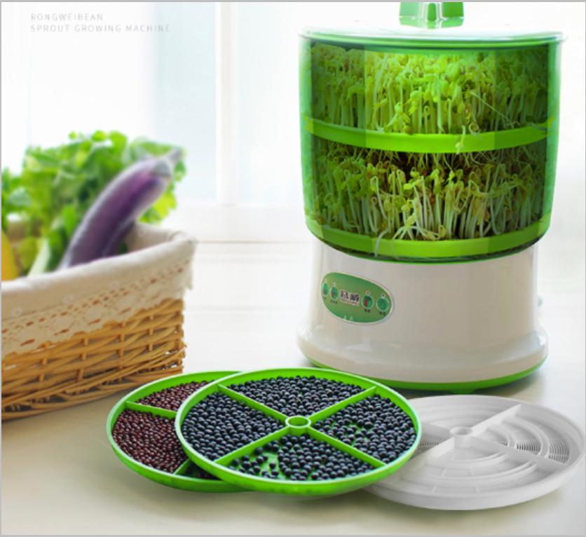 It smart - THỰC PHẨM HỮU CƠ SẠCH CÙNG VEGE MAKING