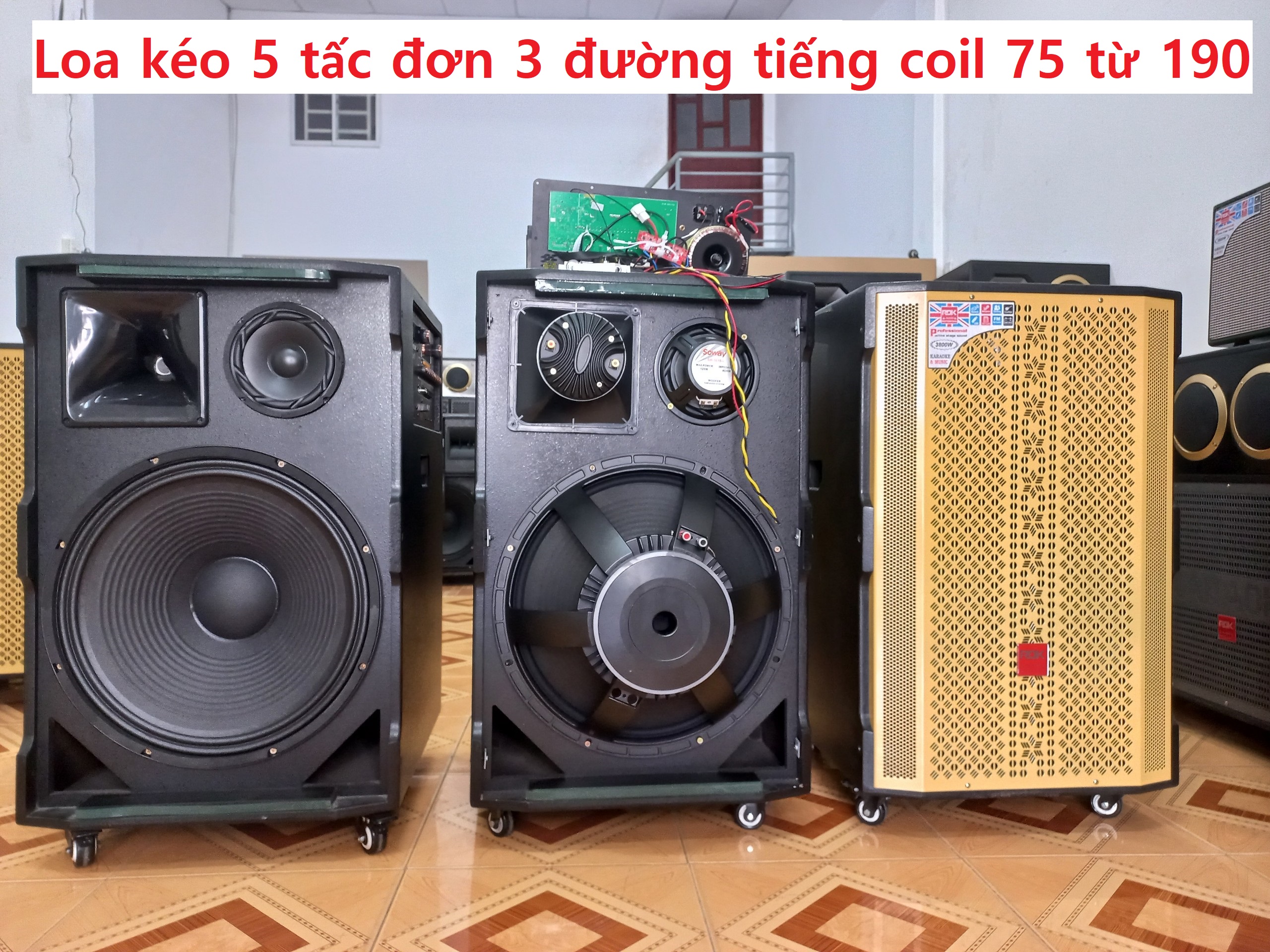 5. Top Các Mẫu Loa Kéo 5 Tấc Đáng Mua