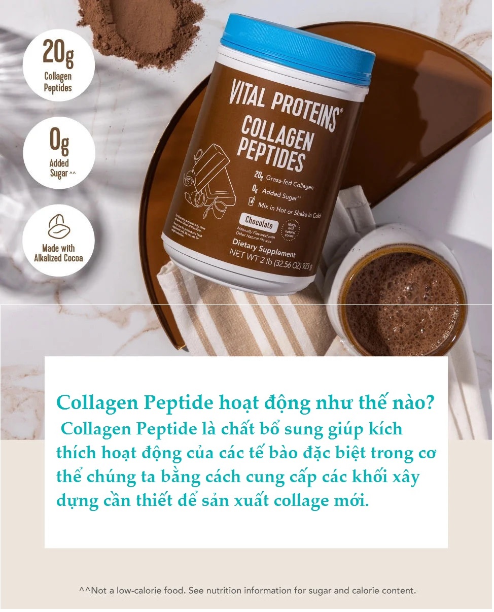 Bột Collagen Vị Socola Vital Protein Collagen Peptides Vị Socola 923g