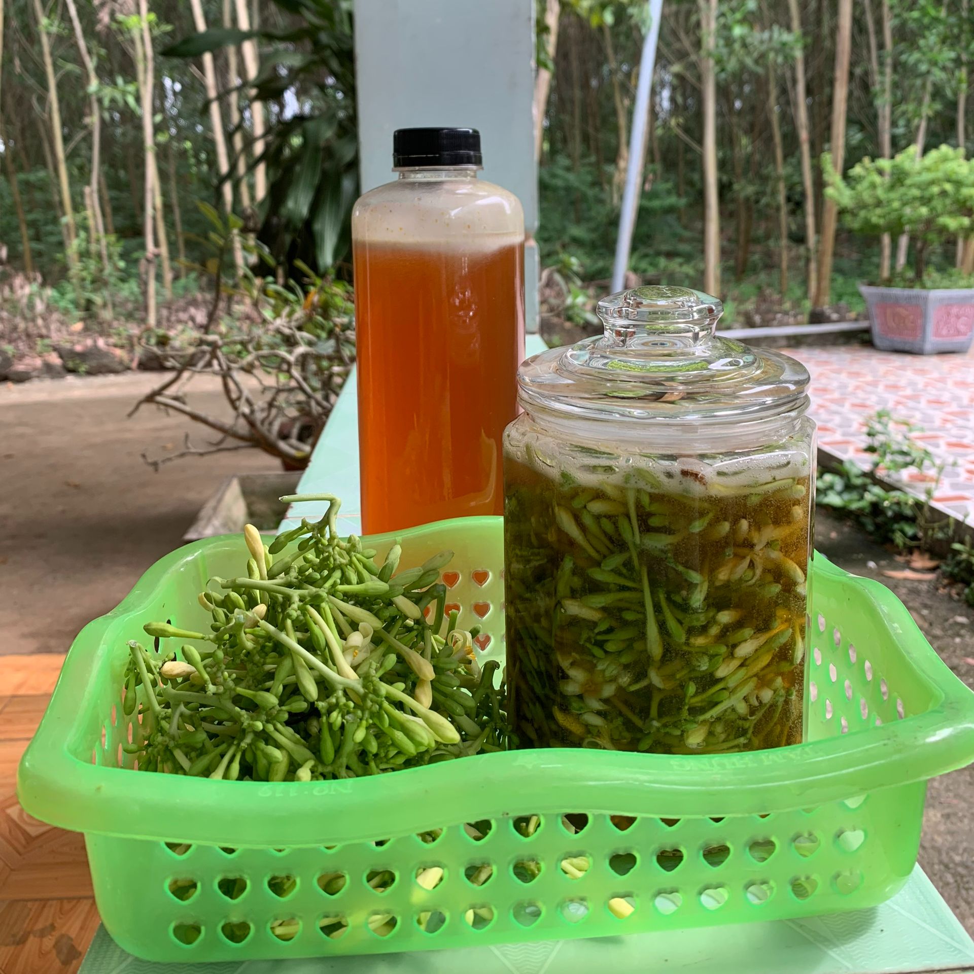 Hoa đu đủ đực ngâm mật ong 500ml