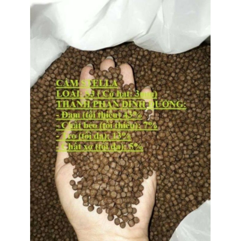 Cám cá koi Newstella 42% đạm, thức ăn cá koi, thức ăn cá vàng