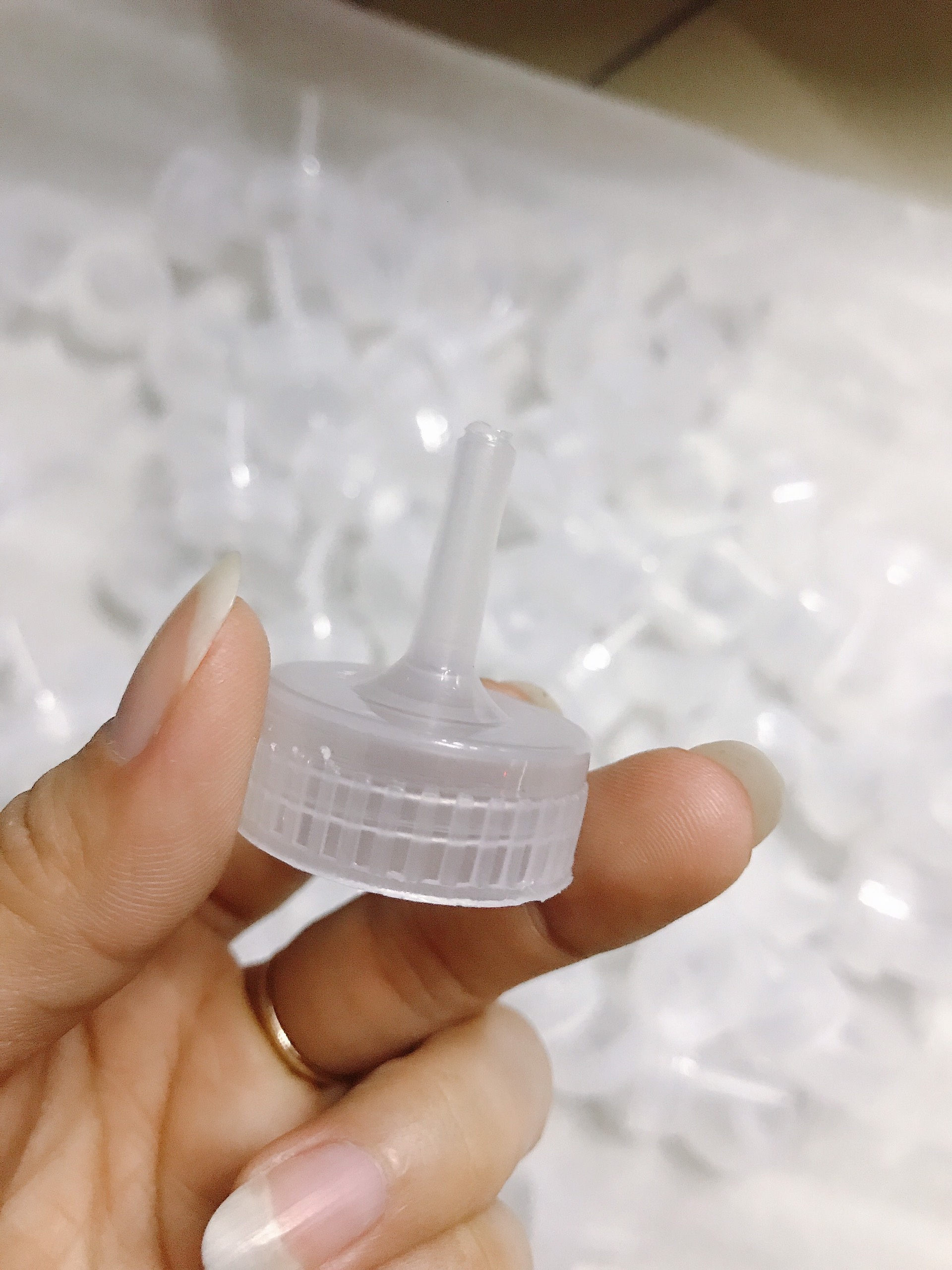 NẮP BÌNH ẤP Artemia 10 cái