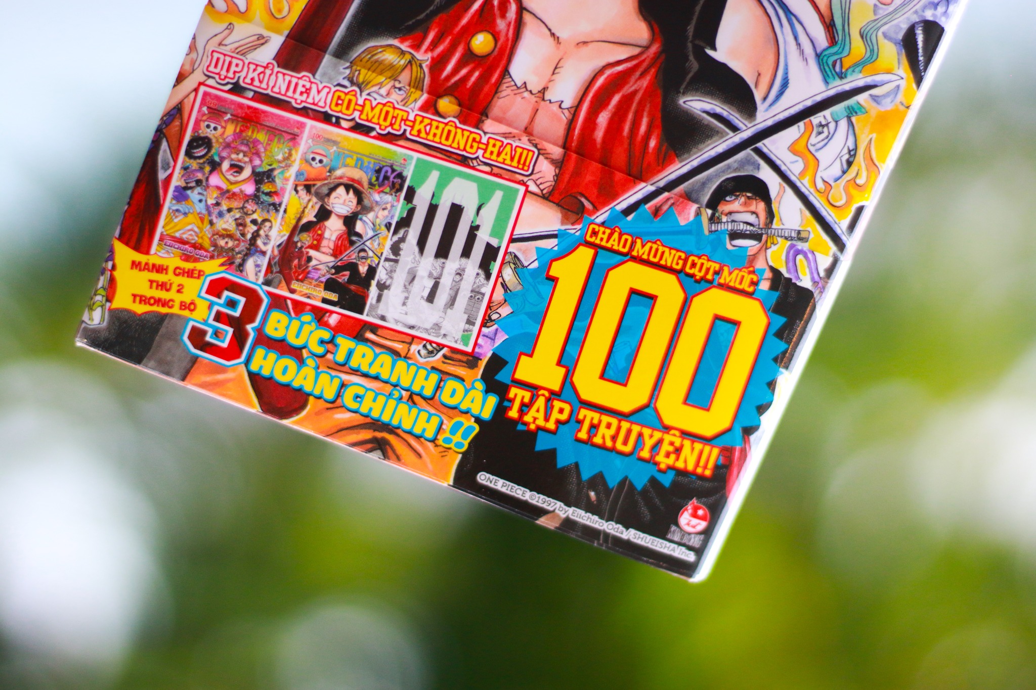 One Piece - Tập 100 : Haki Bá vương+ 101