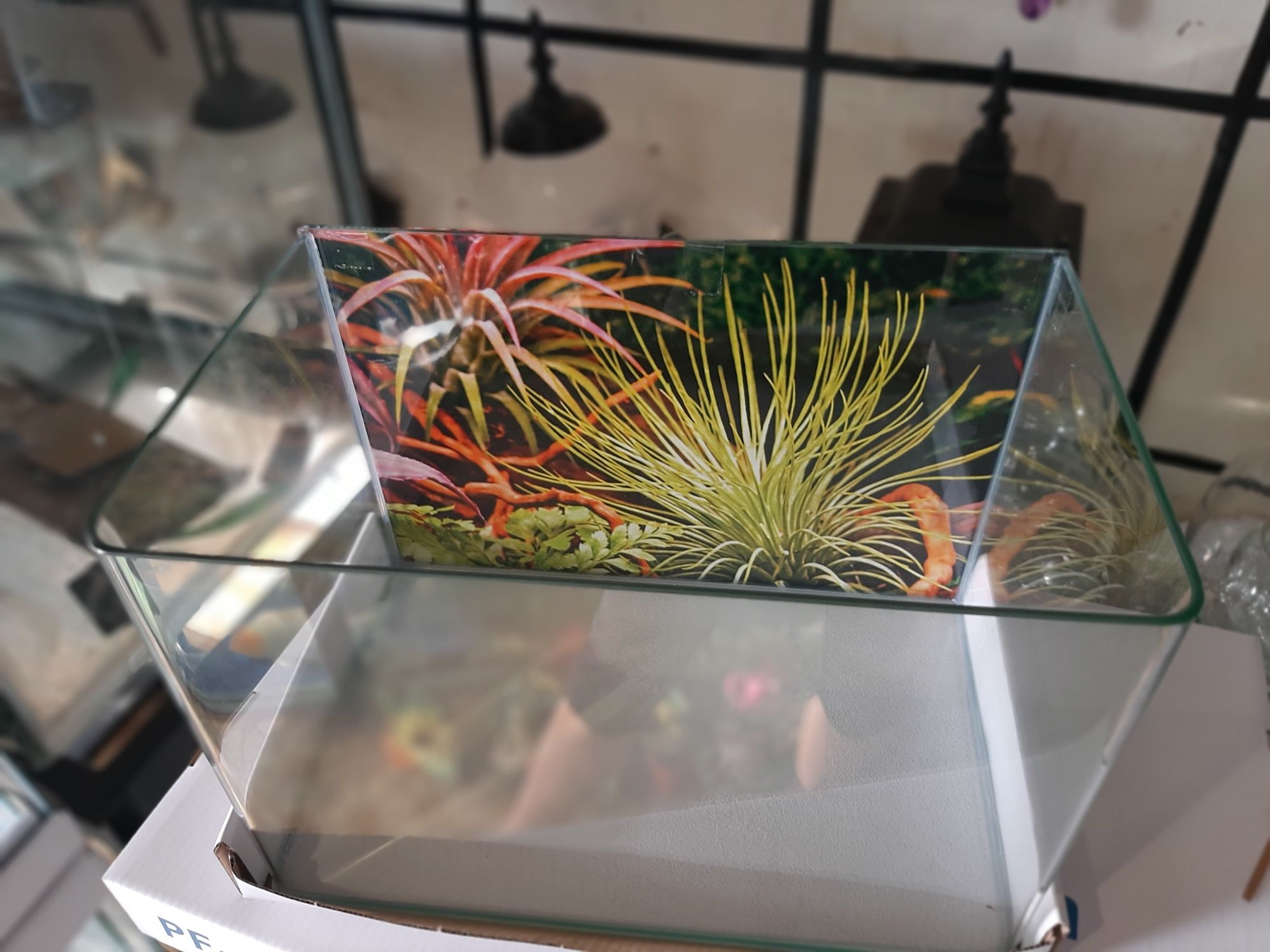 Hồ đúc thủy sinh dài 30cm,bể cá ,hồ cá cảnh mini được uốn cong mặt trước .giá rẻ bèo