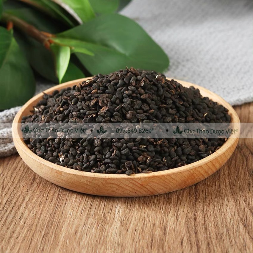 Phá cố chỉ khô 100g, bổ cốt chỉ hỗ trợ bổ thận tráng dương, điều hòa kinh nguyệt, lợi tiểu