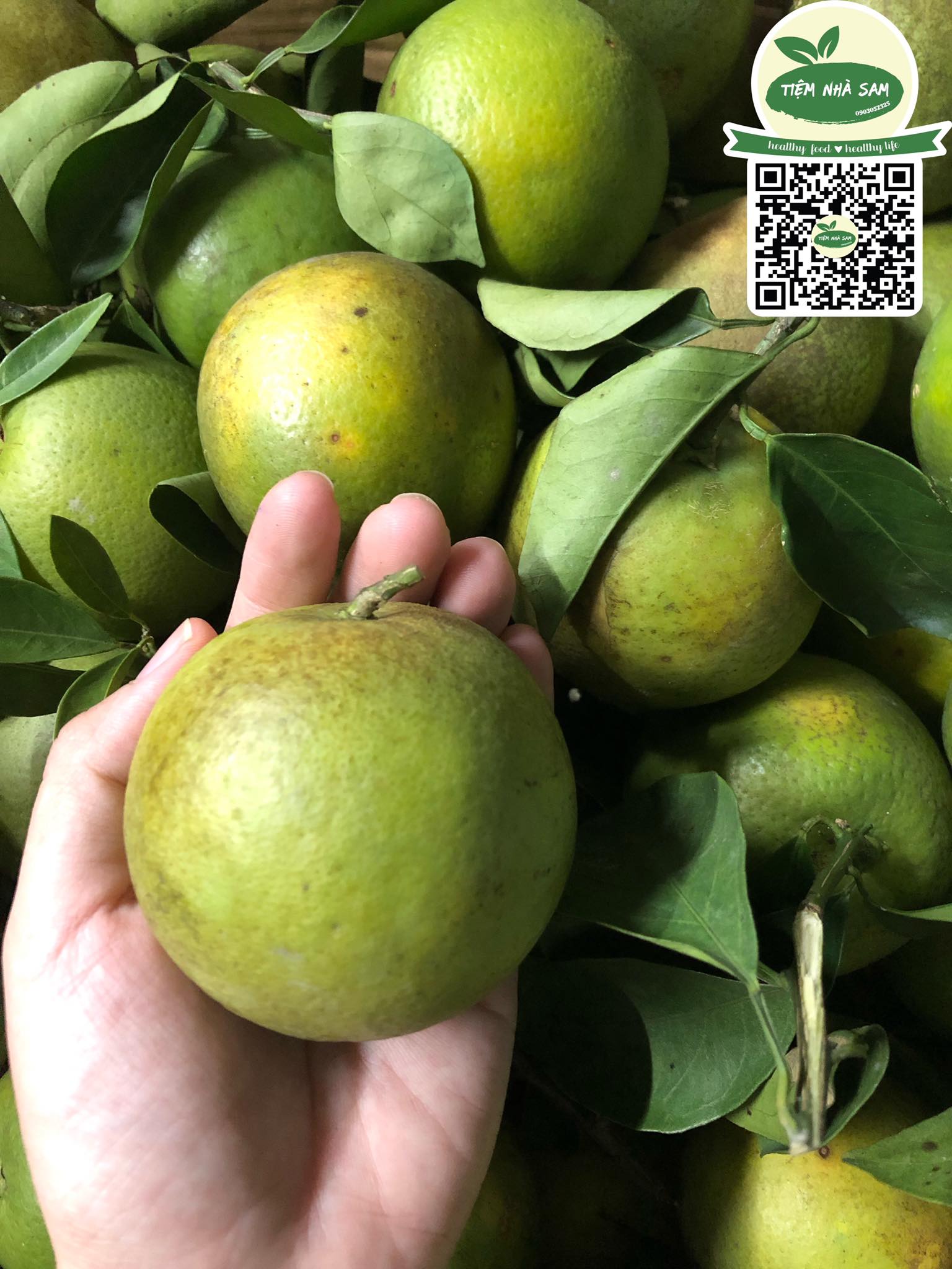 Cam Xoàn Lai Vung hữu cơ