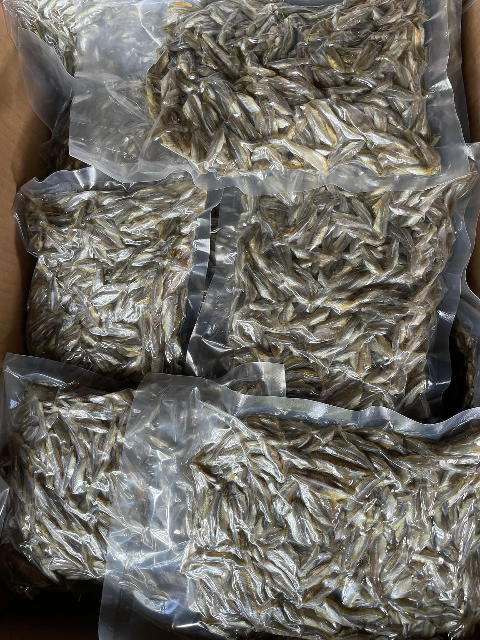 500gram khô cá lòng tong
