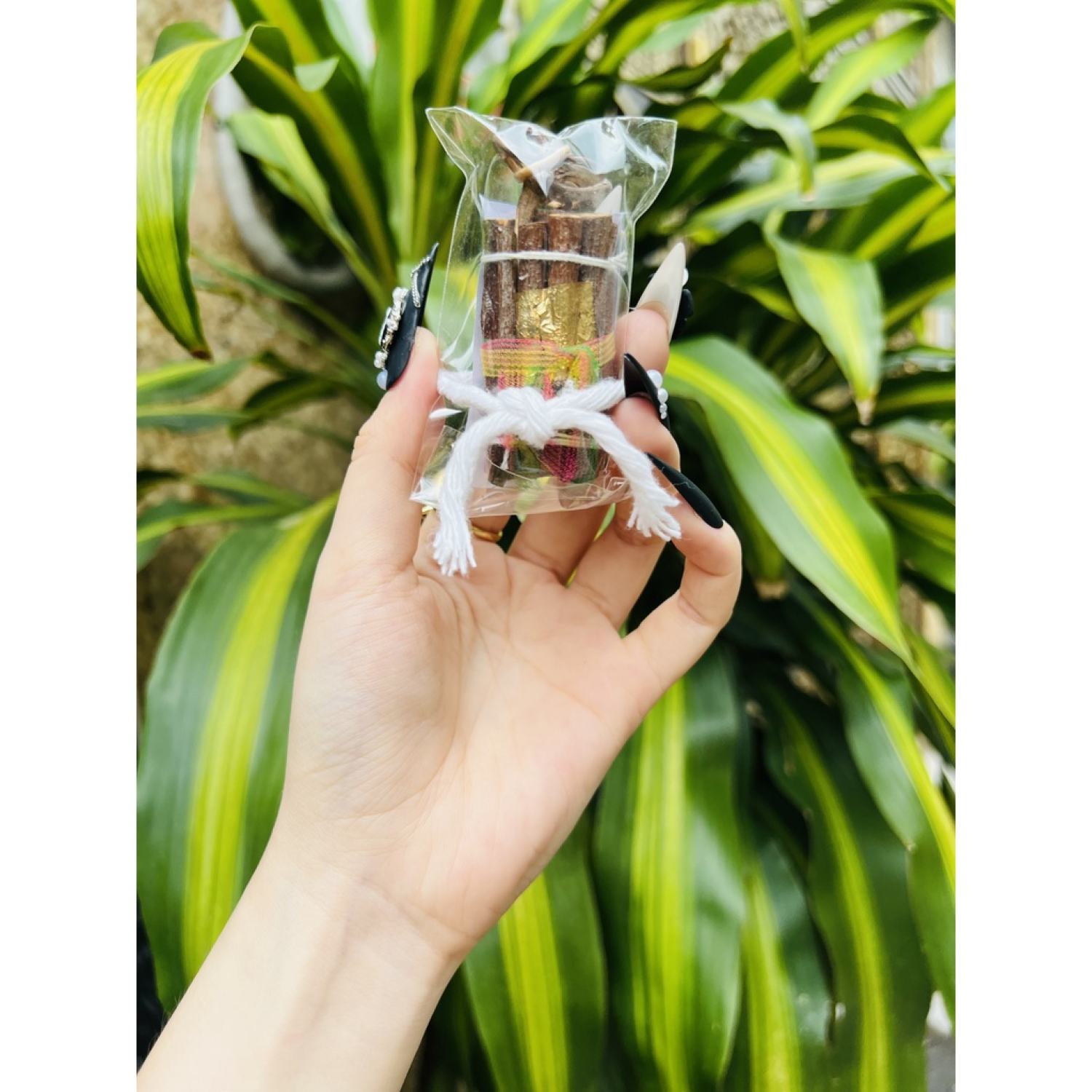 Gỗ may mắn Thái Lan