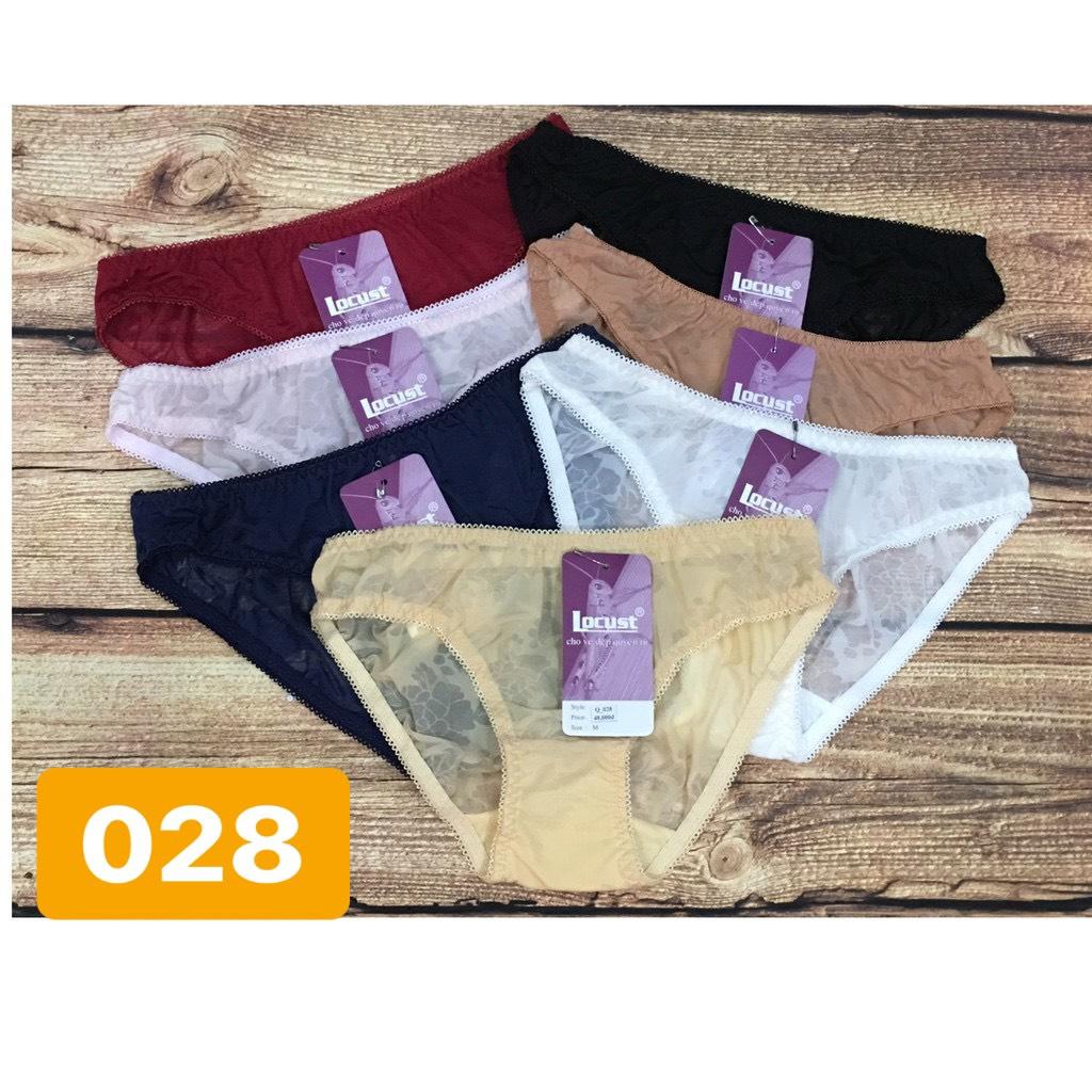 Combo 5 quần lót nữ bông ép cao cấp locust 028