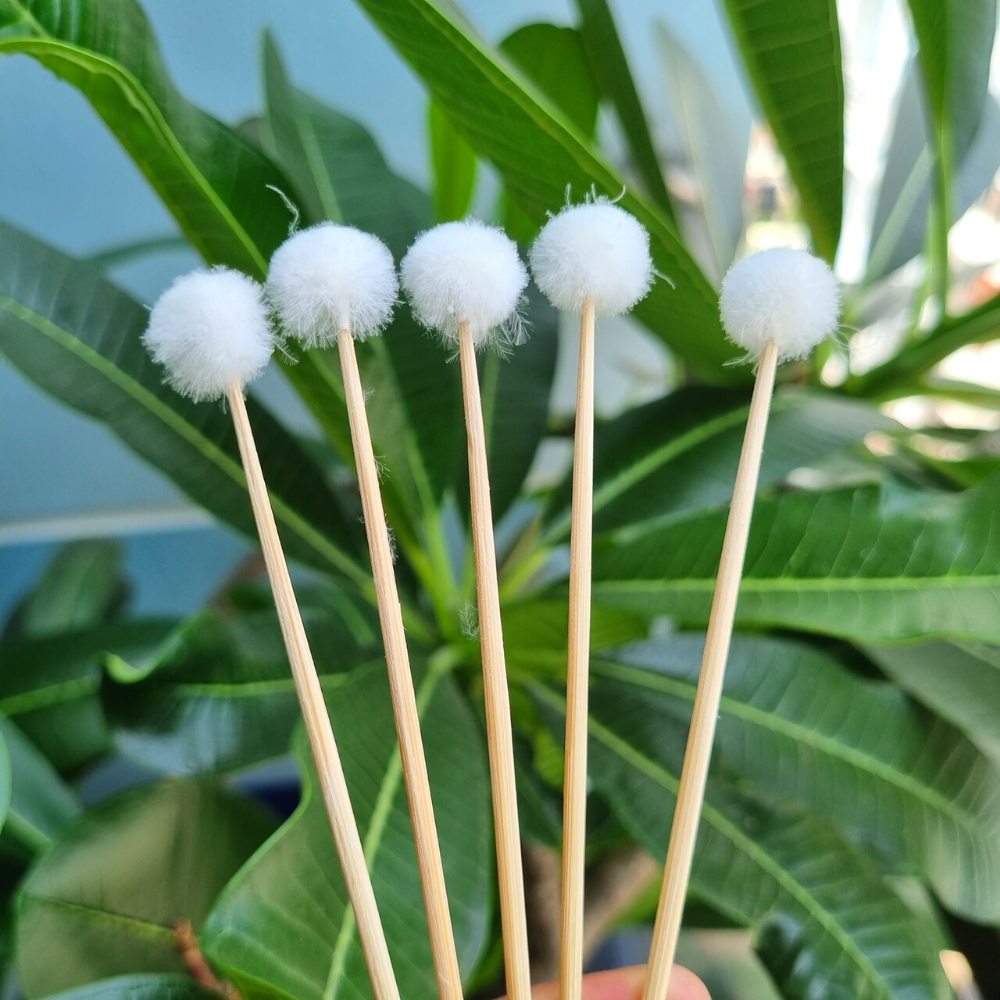 [ ComBo 10 Cây ] Bông se tai lông vịt chuẩn không xù lông